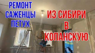 346чТалон забрали/Гибискус,можжевельник и кизильник купили/Ремонт продолжается