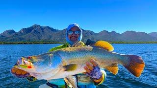 Pitching for Barramundi