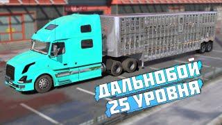 ДАЛЬНОБОЙ МАКСИМАЛЬНОГО УРОВНЯ! СТОИТ ЛИ КАЧАТЬ? СКОЛЬКО МОЖНО ЗАРАБОТАТЬ? GTA 5 RP / RMRP