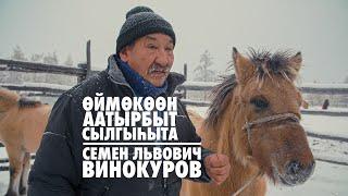 Өймөкөөн аатырбыт сылгыһыта Сэмэн Винокуров. Именитый Оймяконский коневод Семен Винокуров