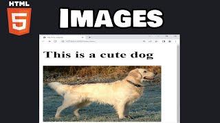 Learn HTML images in 6 minutes! ️