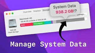 Reclaim storage/space from System Data in macOS