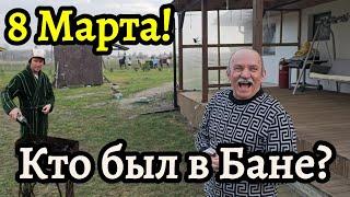 # 8 марта! Кто пошёл в баню? Снова все вместе!  #лошади  #влог  