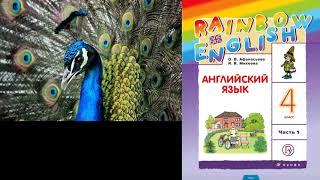 Rainbow English 4-1, Unit 2 Step 4, Английский язык 4 класс ч.1, Афанасьева.