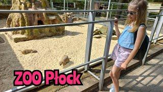 ZOO Płock 2023 #zoo