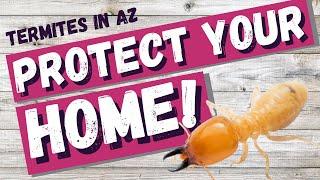 Termites in Arizona  | 10 Tips to Protect your Home!