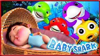 Baby Shark Dance , Mommy Shark , Daddy Shark ,  #babyshark | #nurseryrhymes #cocomelon  #shorts