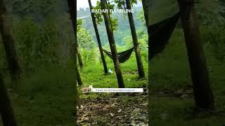 Viral dua sejoli diduga mesum di atas Hammock ayunan pohon #viral #radarbandung