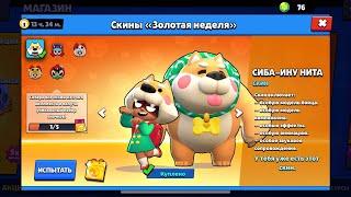 Обзор скина на Ниту (Сиба-Ину Нита)  в Brawl Stars