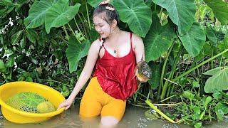 Bẫy 12 cửa trúng đậm cá khủng mùa nước ngày mưa dầm |  TNTP T256 - Girl traps fish on the river