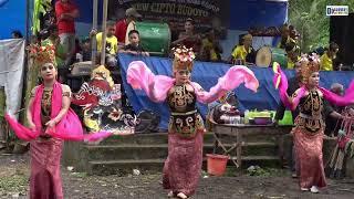 Tari Pink Cewek Jaranan kesenian Banyuwangi Osing khas langka New Cipto Budoyo