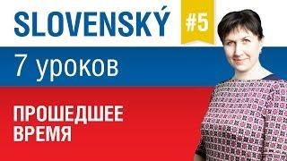 Урок 5. Словацкий язык за 7 уроков для начинающих.Прошедшее время. Елена Шипилова