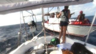 MAYDAY Rescued at Sea |  82 Beau and Brandy Sailing