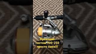 Обман зрения,"Крокодил" тестом 100-250 грамм!!!