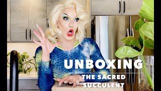 Houseplant Unboxing | The Sacred Succulent