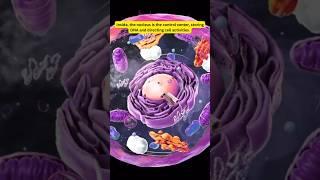 Exploring the intricate universe within: Welcome to the world of a cell. #education #science