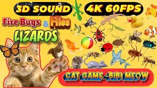 CAT GAMES BiBi TV | Ultimate Cat TV Compilation SPECIAL VOLUME #96 | 3 HOURS | Game On Screen 