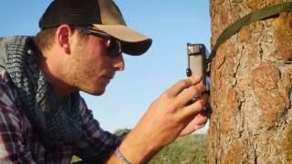 Wild Sky's Cameras for Conservation