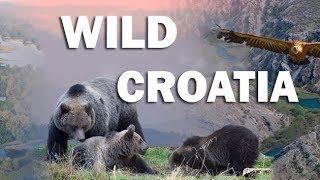 Wild Croatia - Wonderful Nature of Croatia | Explore Croatia