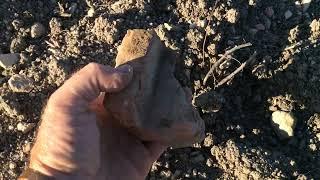 Field Walking Freaks # 5 ( addendum ) ROMANS : hollow ground.