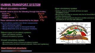 Grade 10 Life Sciences Human Transport System Part 1