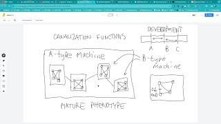 Saturday Morning NeuroSim, 3-2