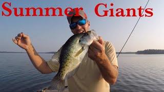 How To Find Crappie in Summer