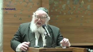 The Greatness of the Lowly Willow - Hoshana Rabbah 5785 (Harav Yitzchak Breitowitz)