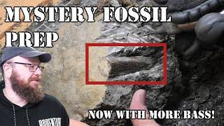 Mystery fossil prep - rib or nose?