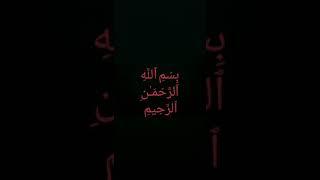 Beautiful recitation  [irfan ibrahim]