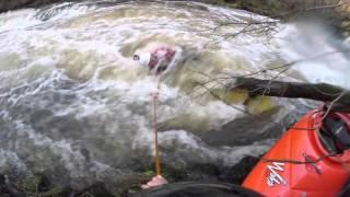 Close Encounter With a Tree | Escape Watersports
