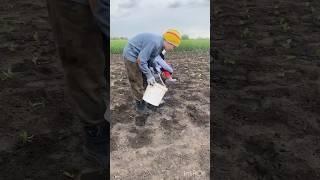 Село. Робота кипить.