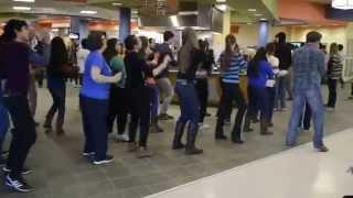 Flash Mob Surprise - Berea College