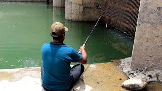 AWSOME fishing|fisherman catching defrent fishes with small hook|