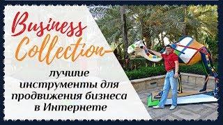 Business Collection - лучшие инструменты для продвижения бизнеса в сети Интернет!