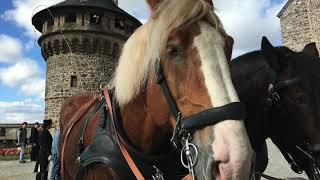 BURG WERNIGERODE