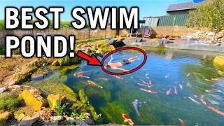 FAVORITE 100,000 Liter Swim Pond