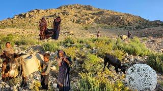 Nomadic Life: The Happiness of Single Nomadic Girls: Buying an Electric Motorcycle for Nomadic Girls