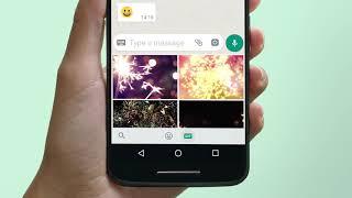 How to Use and Send GIFs | WhatsApp