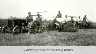 Somos CCM | Mennonite Central Committee
