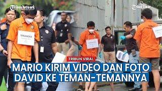 Mario Sebar Video Penganiayaan David