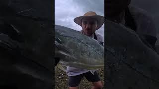 7 Days Solo Amazon Jungle Survival | No Food, Water, or Shelter 2