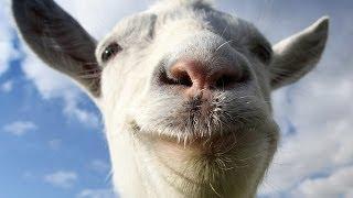 IGN Reviews - Goat Simulator - Review