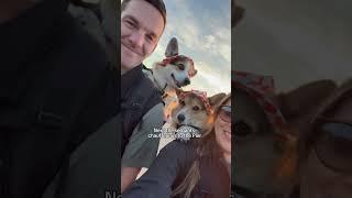 We took our corgis to the Santa Monica Pier