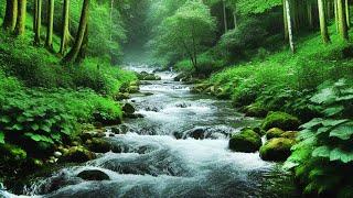 Achieve Peaceful Sleep And Bid Farewell To Stress With Calming Water Flow And Tranquil Forest Sounds