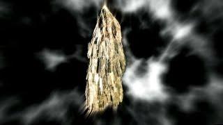 Black Kyanite Alchemy - Protect your Energy [Crystal Frequency]