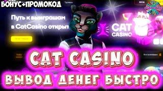  Cat казино  Обзор казино Cat  Cat казино бонусы  №18