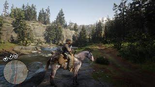 Red Dead Redemption 2: Free Roam Gameplay - Road To Max - No141 - PS5 No Commentary