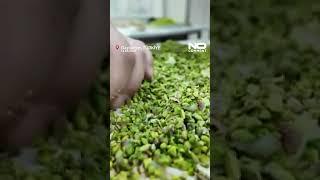 Gaziantep doubles its baklava production during Ramadan, making over 60 tons daily to meet demand