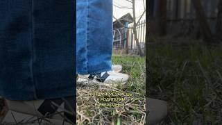 тгк: Алинка рулит 🩶 #врек #рекомендации #тренды #дом